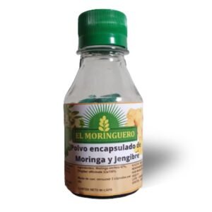 capsulas de moringa y jengibre el moringuero distribuidora