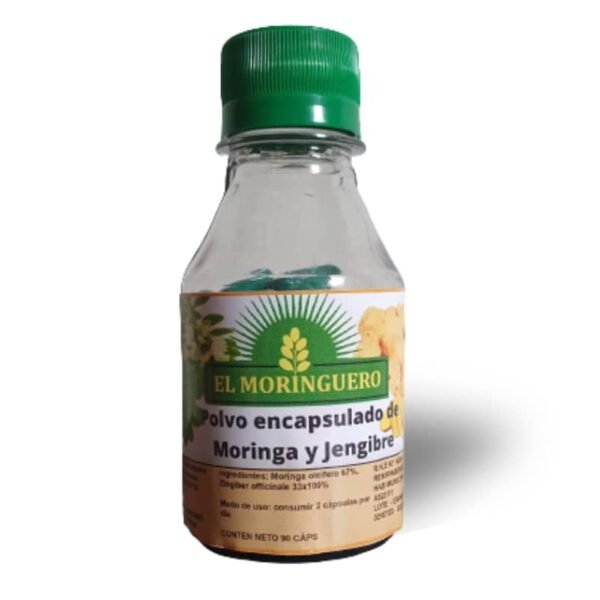 capsulas de moringa y jengibre el moringuero distribuidora