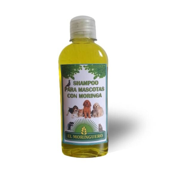 shampoo natural de moringa para mascotas el moringuero distribuidora