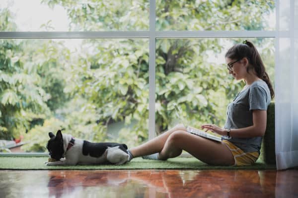 moringa para el estres y ansiedad el moringuero