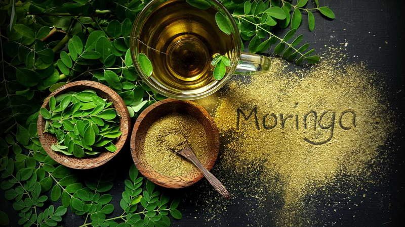 moringa-salud