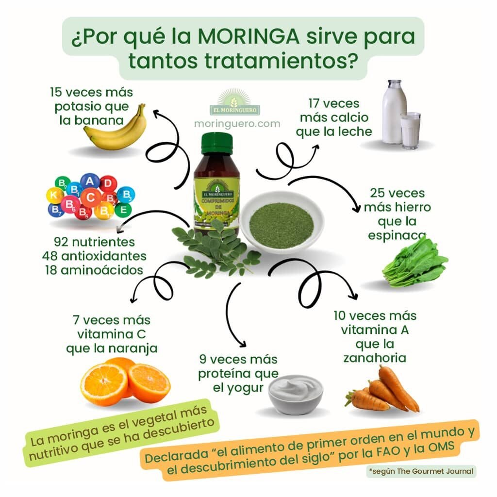 infografía sobre los nutrientes de la moringa 1024x1024