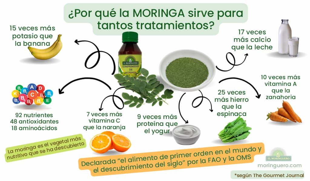 infografia sobre los nutrientes de la moringa 1024x600-1