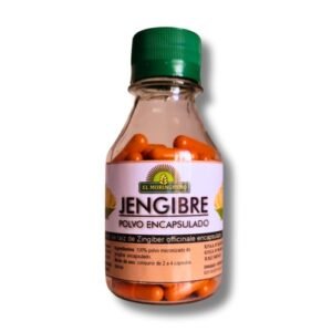 capsulas de jengibre el moringuero